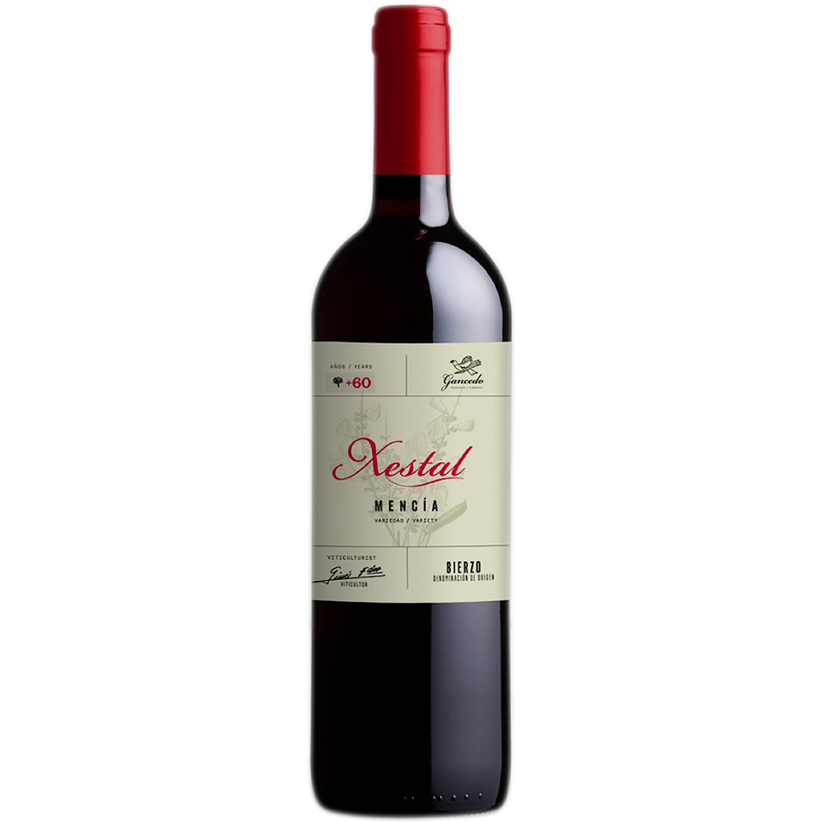 Xestal Mencía 6 Bottle Case 75cl